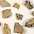 The new Dead Sea scroll fragments from the Cave of Horror, the Judean Desert, Israel. Image credit: Shai Halevi, Israel Antiquities Authority.